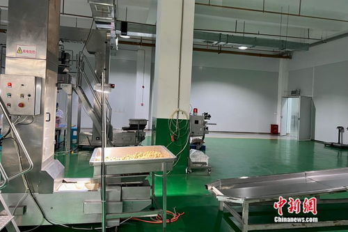 萬(wàn)千氣象看云南丨從一顆核桃開(kāi)始，在西南邊陲探索“一縣一業(yè)”熱能產(chǎn)品研發(fā)